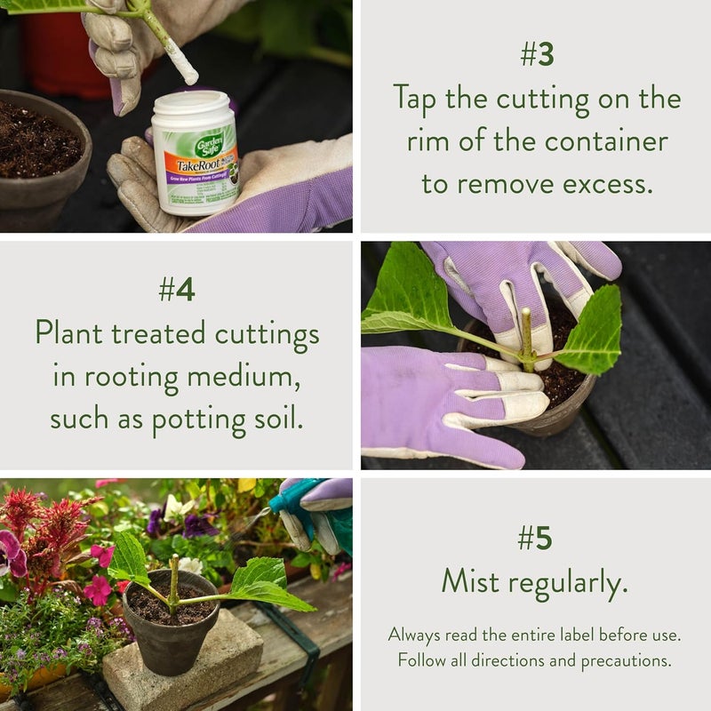 Garden Safe هرمون تجذير براند TakeRoot، 2 عدد، مسحوق يساعد على نمو نباتات جديدة من القصاصات بما في ذلك معظم الأنواع المنزلية والحدائق والدفيئات، عبوة 2 - Image 5